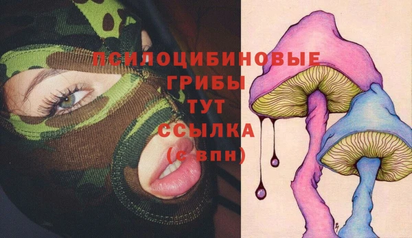 мдпв Нефтекумск