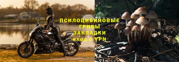 мдпв Нефтекумск