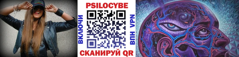 Купить  Суворов  Псилоцибиновые грибы GOLDEN TEACHER 